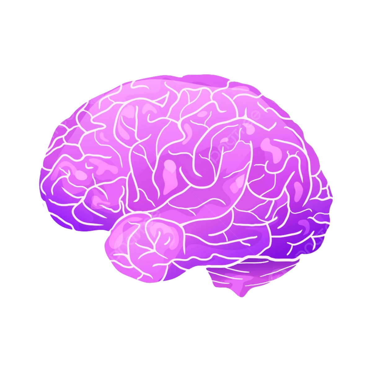 pngtree cartoon neon illustration of a human brain with highlights and shadows picture image 8069539